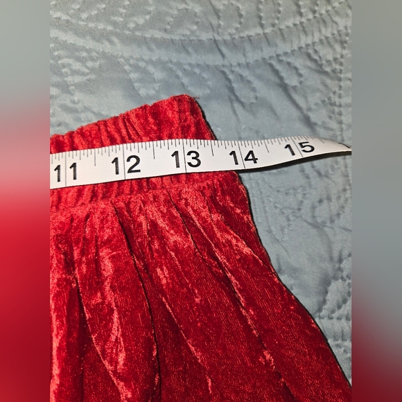 Bonjour Crushed Velvet Skirt✨ - Picture 6 of 7